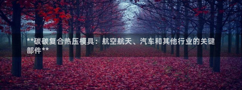易倍全站下载：**碳碳复合热压模具：航空航天、汽车和其他