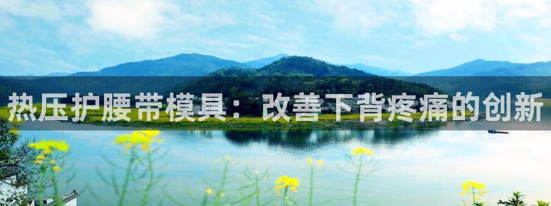 emc低频：热压护腰带模具：改善下背疼痛的创新