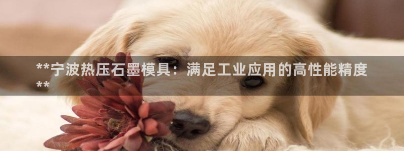 易倍纤多少钱：**宁波热压石墨模具：满足工业应用的高性能