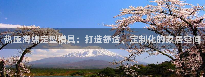 EMC易倍让身份验证：热压海绵定型模具：打造舒适、定制化