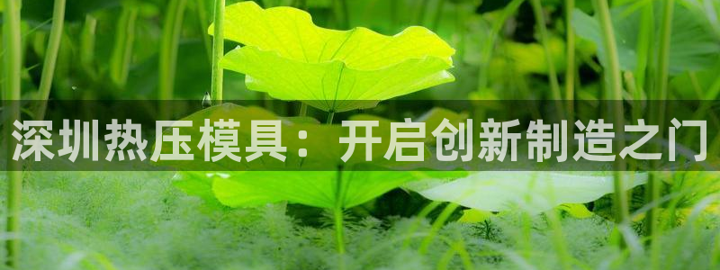 上海易倍投资有限公司：深圳热压模具：开启创新制造之门