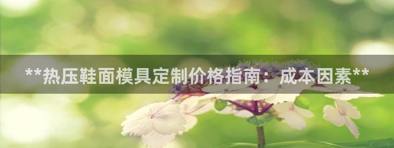 易倍emc网址网页版本登陆：**热压鞋面模具定制价格指南