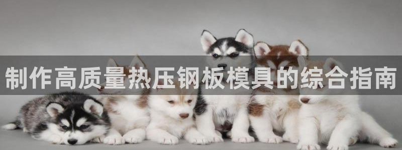 易倍申片能长期服用吗：制作高质量热压钢板模具的综合指南