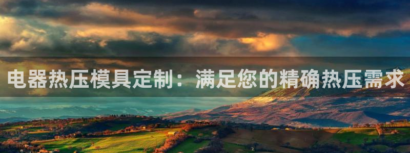 易倍申效果怎么样：电器热压模具定制：满足您的精确热压需求