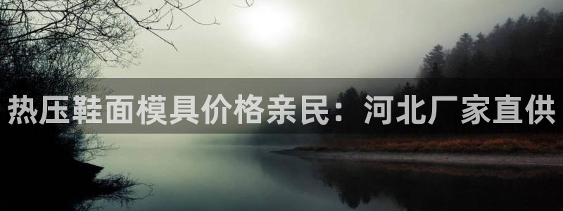 emc易赔：热压鞋面模具价格亲民：河北厂家直供