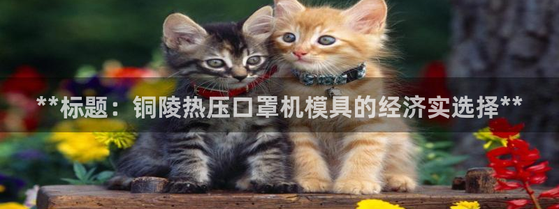 易倍申可以长期服用吗：**标题：铜陵热压口罩机模具的经济