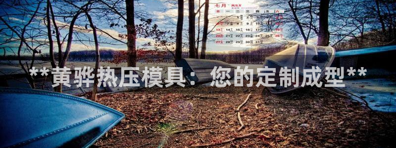 杭州易倍达上班怎么样：**黄骅热压模具：您的定制成型**