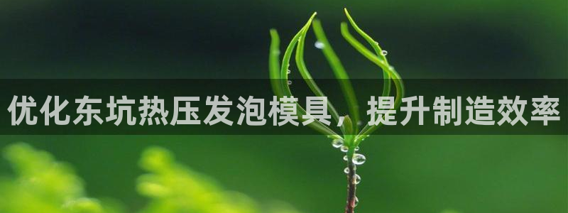 emc登录网站：优化东坑热压发泡模具，提升制造效率