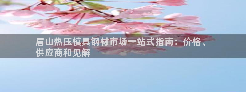 易倍思教育：眉山热压模具钢材市场一站式指南：价格、
供应