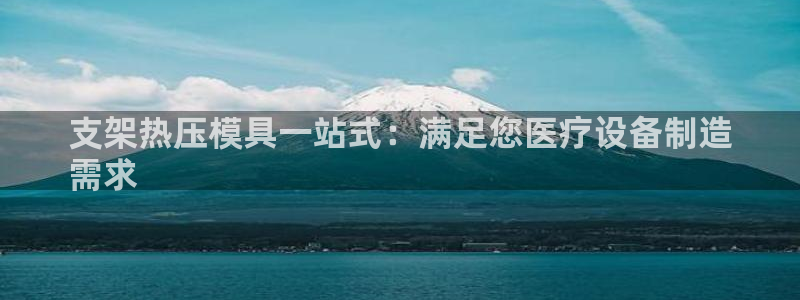 emc易倍：支架热压模具一站式：满足您医疗设备制造
需求