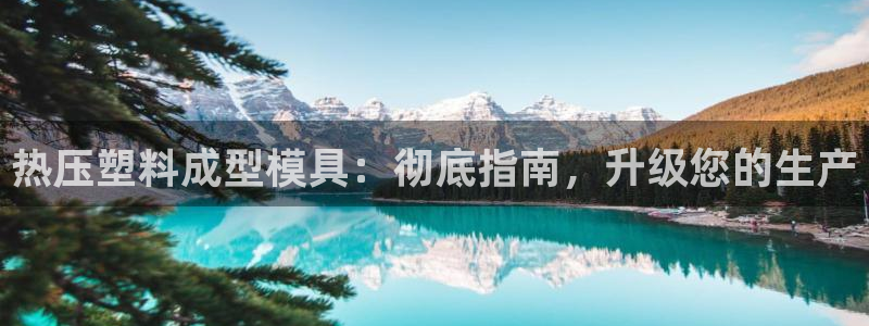 杭州易倍达：热压塑料成型模具：彻底指南，升级您的生产