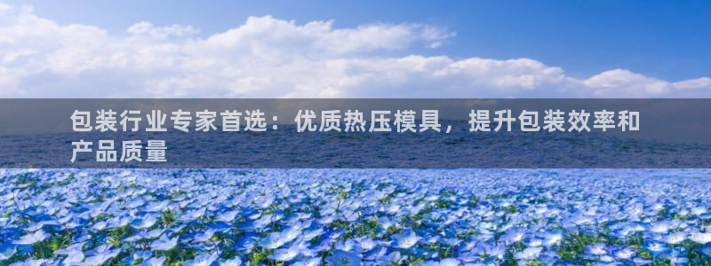 emc易倍官网登录入口：包装行业专家首选：优质热压模具，