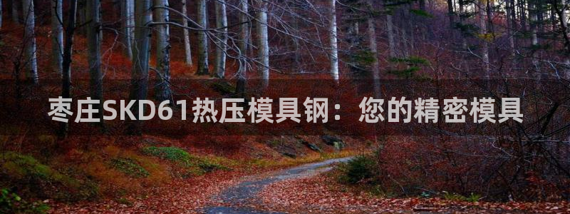 emc易倍穆里尼奥：枣庄SKD61热压模具钢：您的精密模