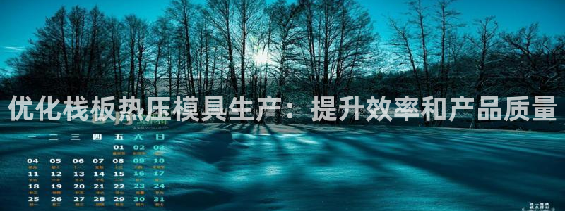 易倍纤奶昔减肥效果怎么样：优化栈板热压模具生产：提升效率