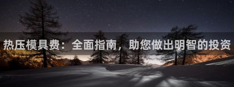 易倍申怎么样：热压模具费：全面指南，助您做出明智的投资