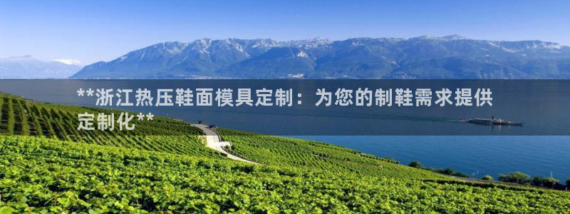 易倍单词如何下载：**浙江热压鞋面模具定制：为您的制鞋需