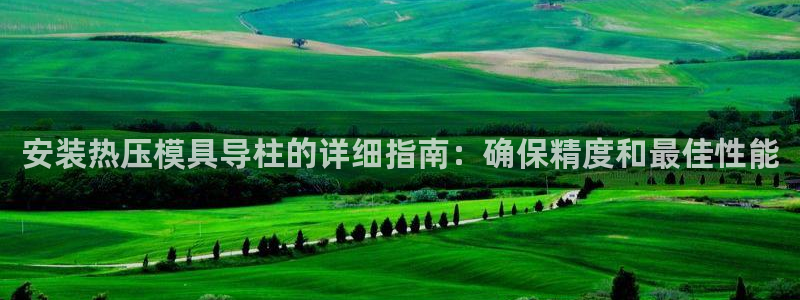 易倍网络技术有限公司是干嘛的：安装热压模具导柱的详细指南