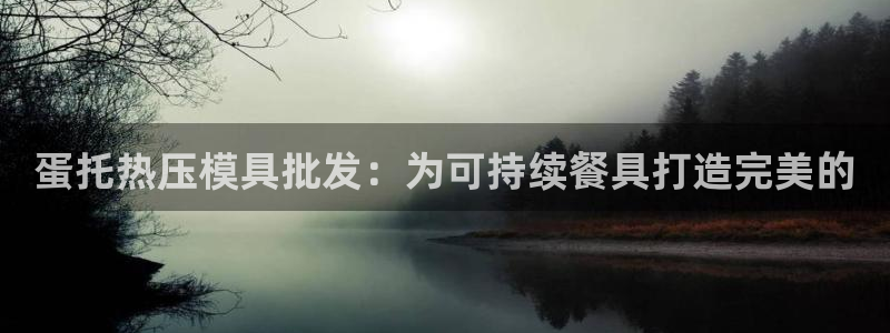 emc服务器是什么：蛋托热压模具批发：为可持续餐具打造完
