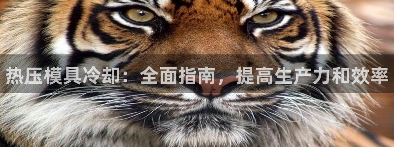 易倍电竞：热压模具冷却：全面指南，提高生产力和效率