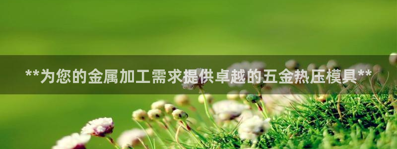 易倍单词如何下载：**为您的金属加工需求提供卓越的五金热