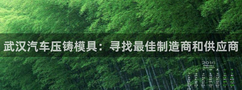 易倍单词平台：武汉汽车压铸模具：寻找最佳制造商和供应商
