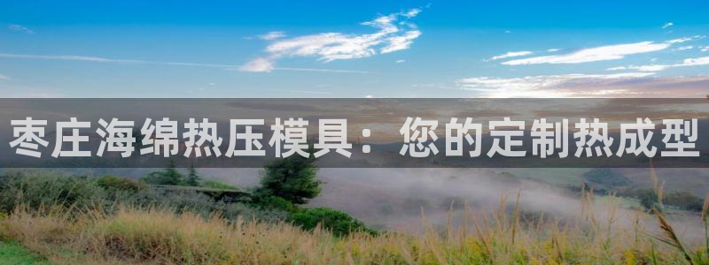 易倍emc网址：枣庄海绵热压模具：您的定制热成型
