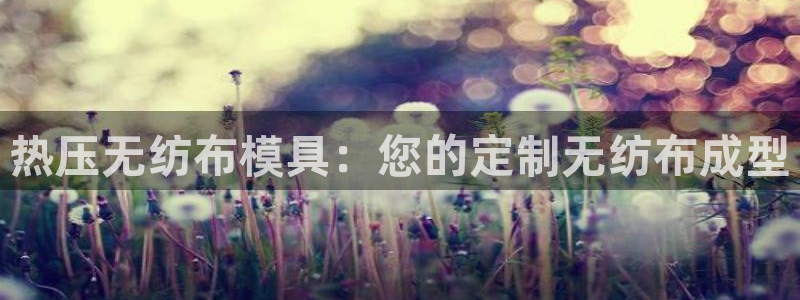 emc易倍电竞：热压无纺布模具：您的定制无纺布成型