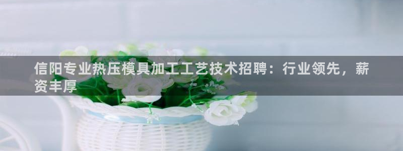 emc全站易倍：信阳专业热压模具加工工艺技术招聘：行业领