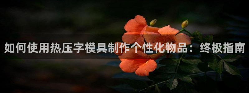 emc易赔：如何使用热压字模具制作个性化物品：终极指南