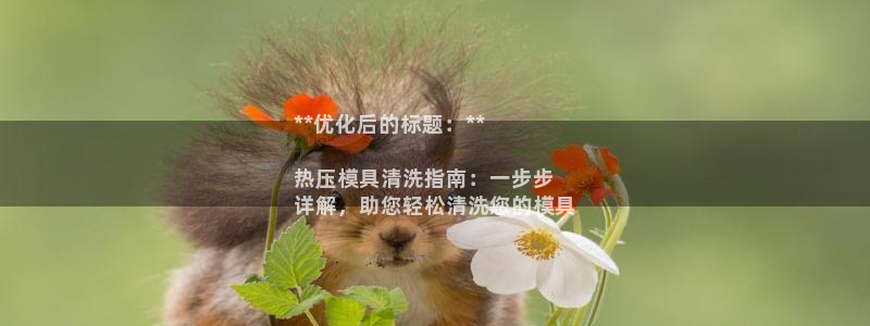 易倍达怎么样：**优化后的标题：**

热压模具清洗指南