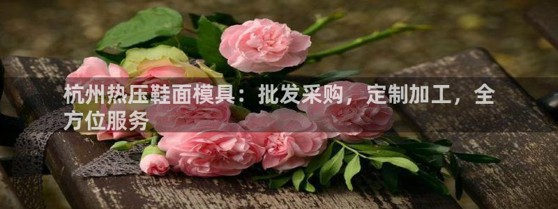 emc倍频干扰怎么解决：杭州热压鞋面模具：批发采购，定制