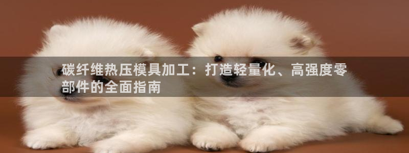易倍申价格：碳纤维热压模具加工：打造轻量化、高强度零
部