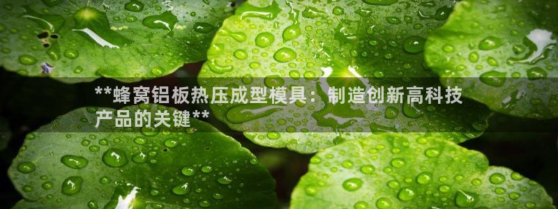 易倍纤瘦身三部曲的价格：**蜂窝铝板热压成型模具：制造创