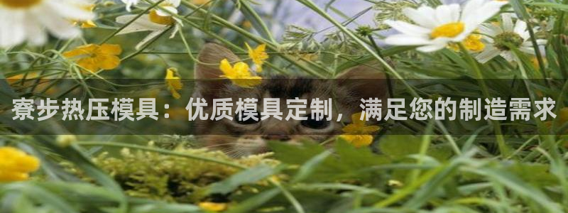 北京易倍思教育怎么样：寮步热压模具：优质模具定制，满足您