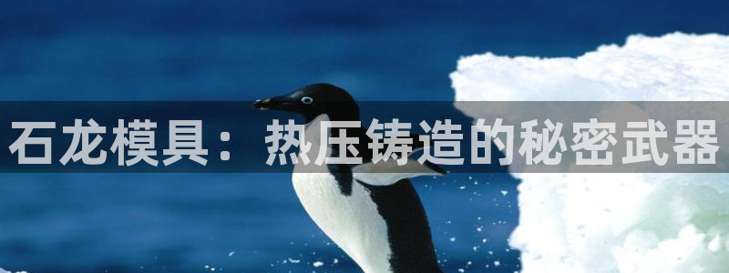 易倍申是进口药吗：石龙模具：热压铸造的秘密武器