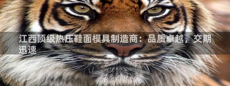 易倍达科技有限公司招聘：江西顶级热压鞋面模具制造商：品质