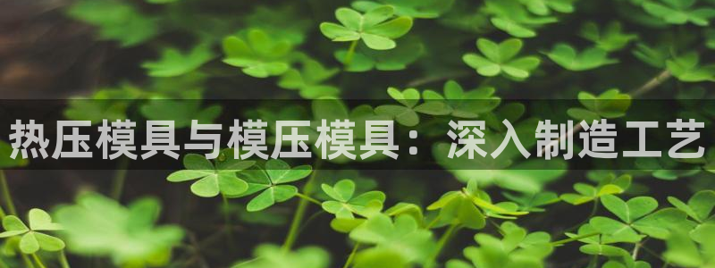 EMC倍频原理：热压模具与模压模具：深入制造工艺
