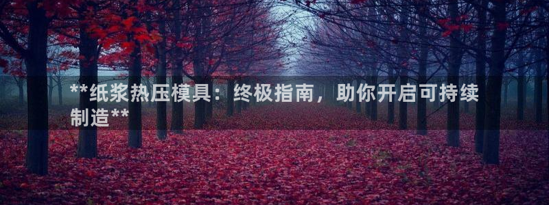 易倍纤代餐奶昔怎么样：**纸浆热压模具：终极指南，助你开