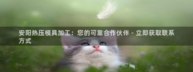 易倍纤代餐奶昔怎么样：安阳热压模具加工：您的可靠合作伙伴
