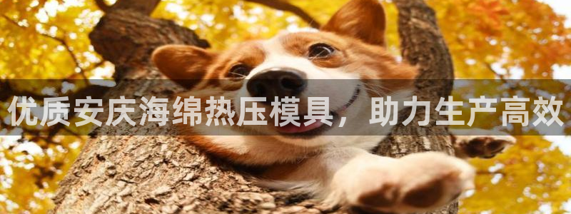 emc服务器是什么：优质安庆海绵热压模具，助力生产高效