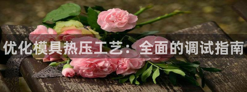 emc易倍官方下载：优化模具热压工艺：全面的调试指南