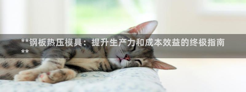 emc易倍官网app官网：**钢板热压模具：提升生产力和
