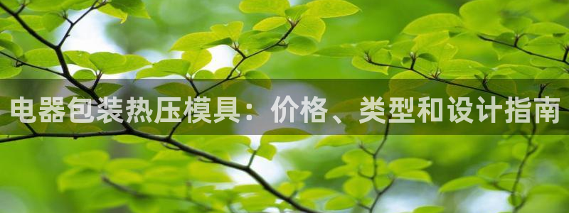 易倍易趣网：电器包装热压模具：价格、类型和设计指南