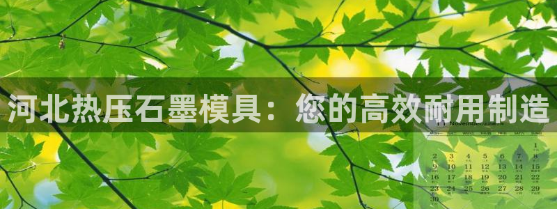 emc下载ios：河北热压石墨模具：您的高效耐用制造