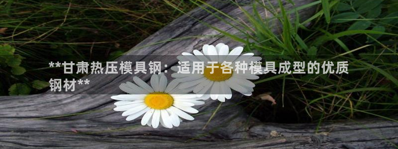 易倍达科技有限公司代运营：**甘肃热压模具钢：适用于各种