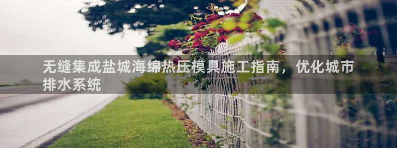 易倍app官网下载安装：无缝集成盐城海绵热压模具施工指南