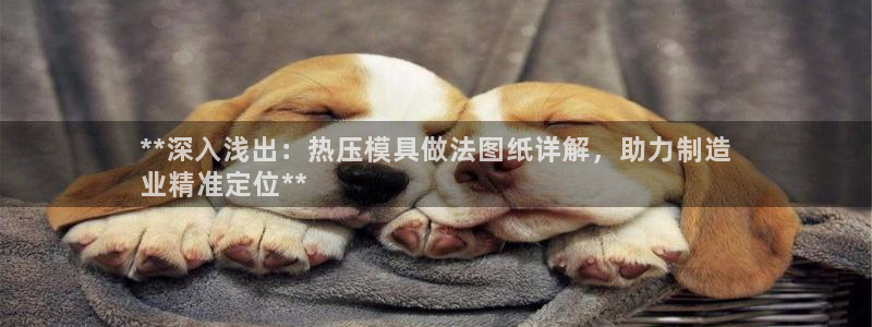 易倍网络技术有限公司招聘：**深入浅出：热压模具做法图纸