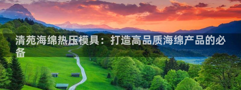 易倍纤酵素效果好吗：清苑海绵热压模具：打造高品质海绵产品