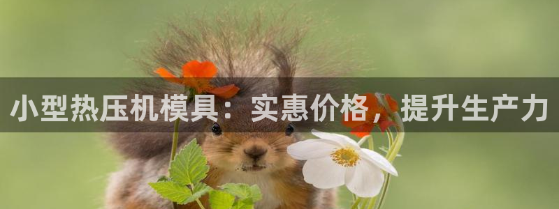 易倍达科技有限公司怎么样：小型热压机模具：实惠价格，提升