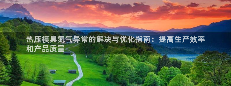 易倍申的包装规格：热压模具氮气异常的解决与优化指南：提高